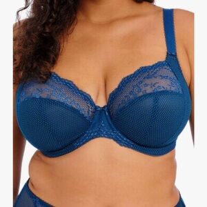 Elomi Deep Blue Lace Bra UK38G US38I